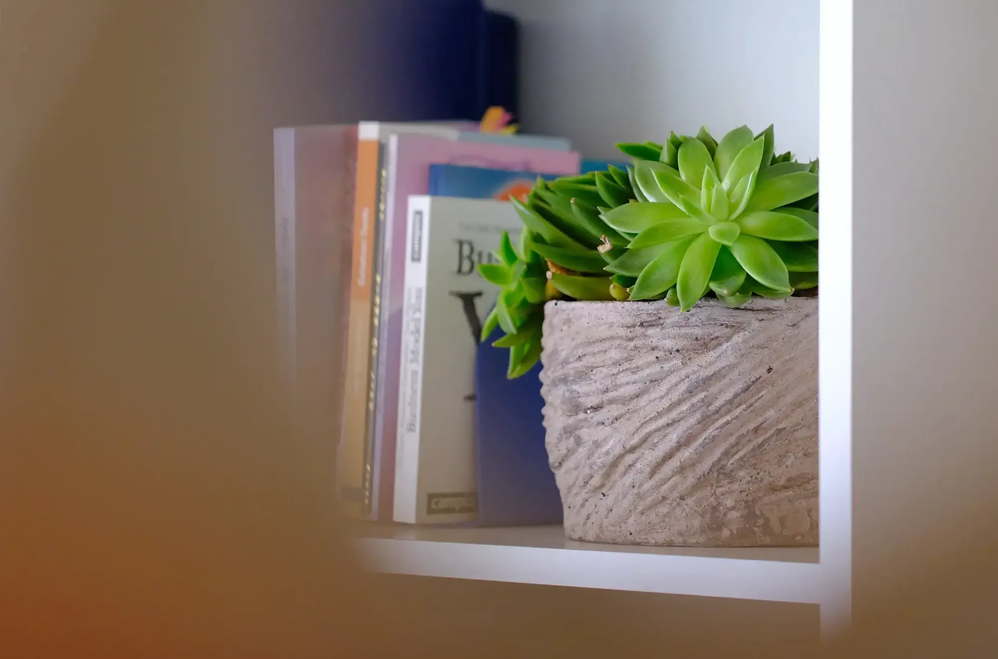 buecherregal-coachingoase Bücherregal Coachingoase Sandra De Martin
